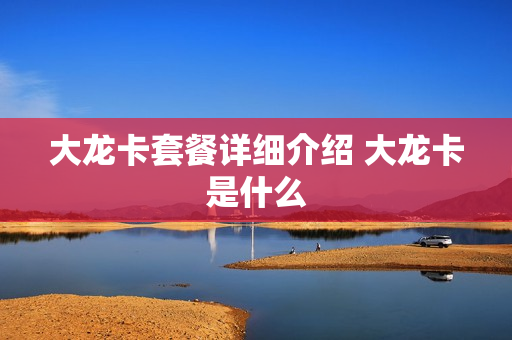 大龙卡套餐详细介绍 大龙卡是什么
