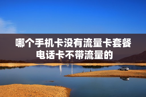 哪个手机卡没有流量卡套餐 电话卡不带流量的