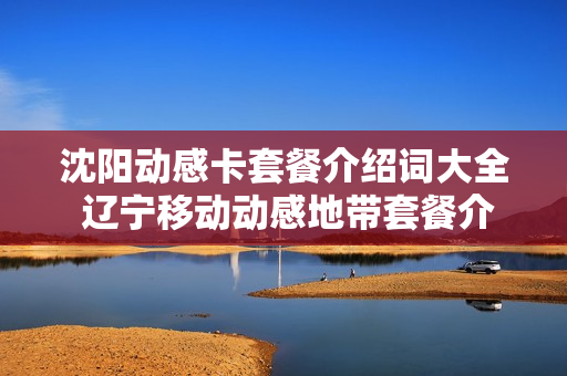 沈阳动感卡套餐介绍词大全 辽宁移动动感地带套餐介绍