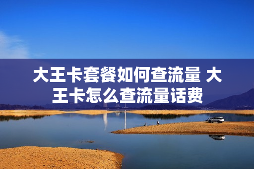 大王卡套餐如何查流量 大王卡怎么查流量话费