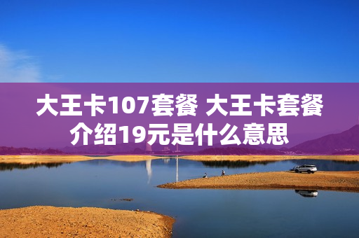 大王卡107套餐 大王卡套餐介绍19元是什么意思