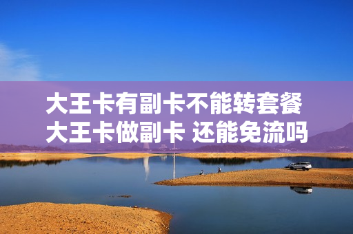 大王卡有副卡不能转套餐 大王卡做副卡 还能免流吗