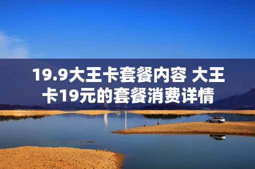 19.9大王卡套餐内容 大王卡19元的套餐消费详情