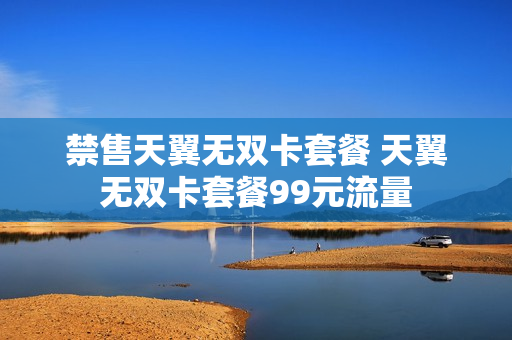 禁售天翼无双卡套餐 天翼无双卡套餐99元流量
