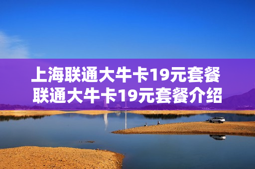 上海联通大牛卡19元套餐 联通大牛卡19元套餐介绍
