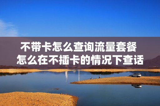 不带卡怎么查询流量套餐 怎么在不插卡的情况下查话费