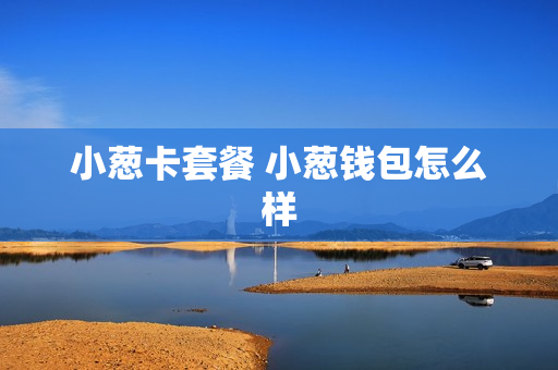 小葱卡套餐 小葱钱包怎么样