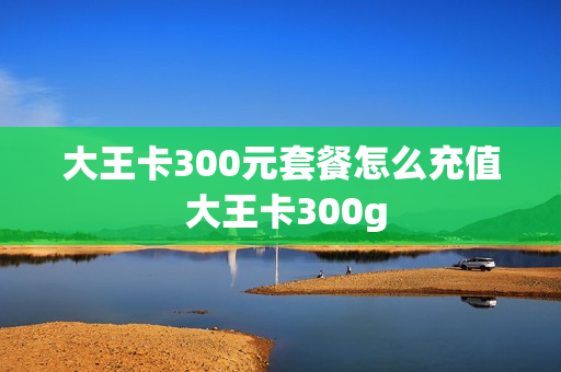 大王卡300元套餐怎么充值 大王卡300g