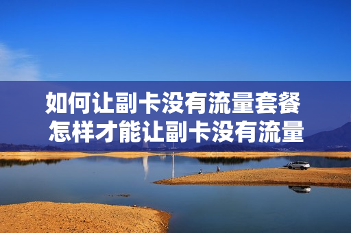 如何让副卡没有流量套餐 怎样才能让副卡没有流量
