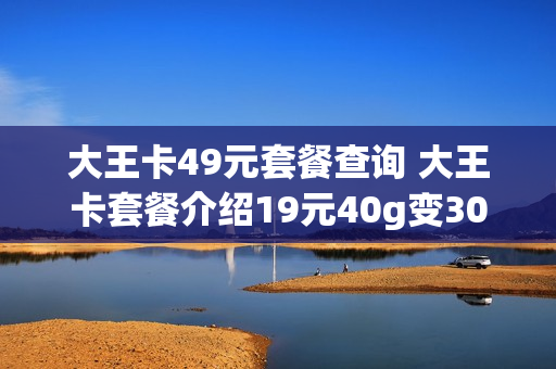 大王卡49元套餐查询 大王卡套餐介绍19元40g变30g了