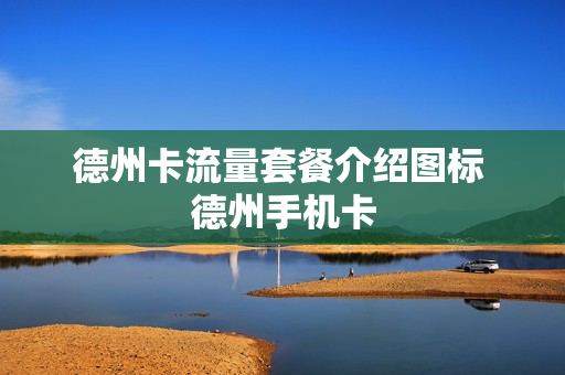 德州卡流量套餐介绍图标 德州手机卡