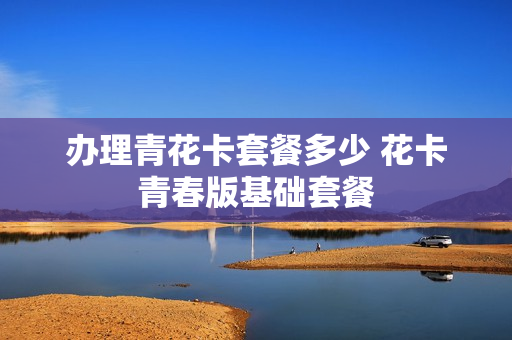 办理青花卡套餐多少 花卡青春版基础套餐