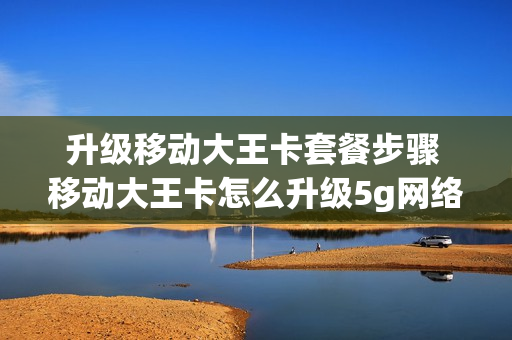 升级移动大王卡套餐步骤 移动大王卡怎么升级5g网络