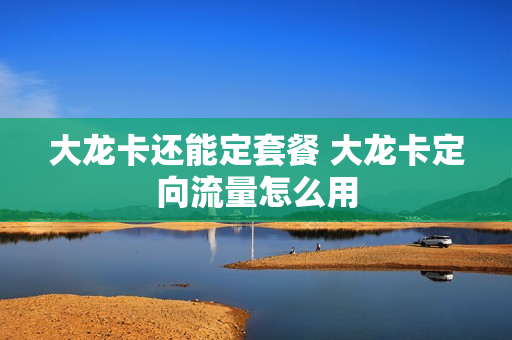 大龙卡还能定套餐 大龙卡定向流量怎么用