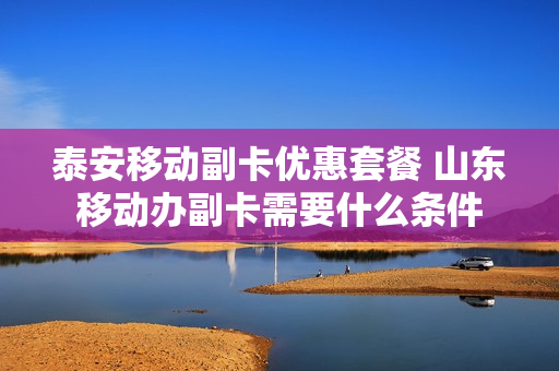 泰安移动副卡优惠套餐 山东移动办副卡需要什么条件