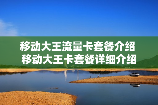 移动大王流量卡套餐介绍 移动大王卡套餐详细介绍