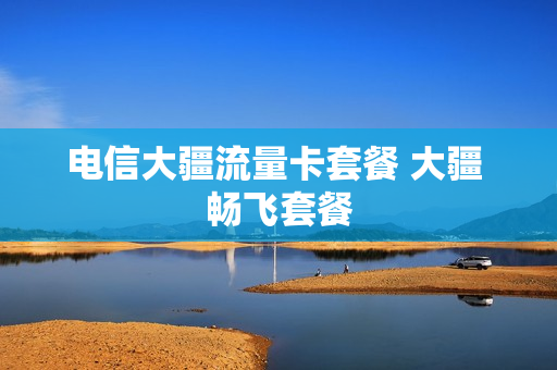 电信大疆流量卡套餐 大疆 畅飞套餐