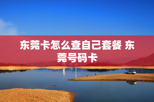 东莞卡怎么查自己套餐 东莞号码卡
