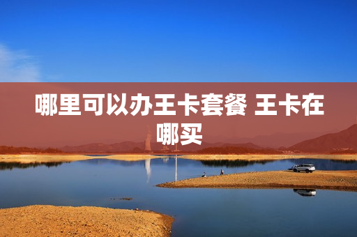 哪里可以办王卡套餐 王卡在哪买