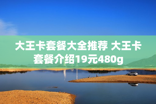 大王卡套餐大全推荐 大王卡套餐介绍19元480g