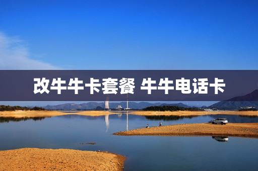 改牛牛卡套餐 牛牛电话卡