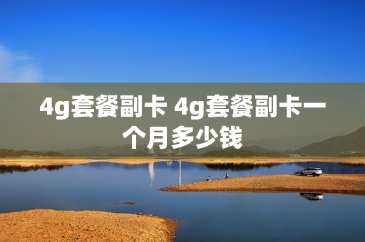 4g套餐副卡 4g套餐副卡一个月多少钱