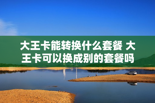 大王卡能转换什么套餐 大王卡可以换成别的套餐吗