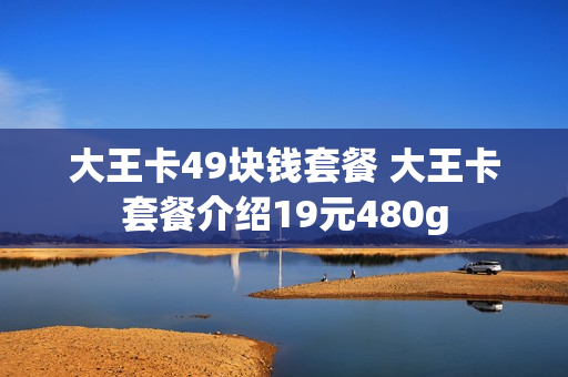 大王卡49块钱套餐 大王卡套餐介绍19元480g