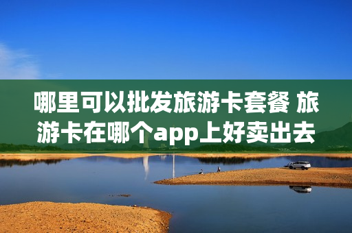 哪里可以批发旅游卡套餐 旅游卡在哪个app上好卖出去