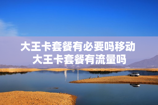 大王卡套餐有必要吗移动 大王卡套餐有流量吗