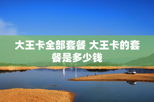 大王卡全部套餐 大王卡的套餐是多少钱