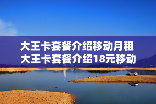 大王卡套餐介绍移动月租 大王卡套餐介绍18元移动