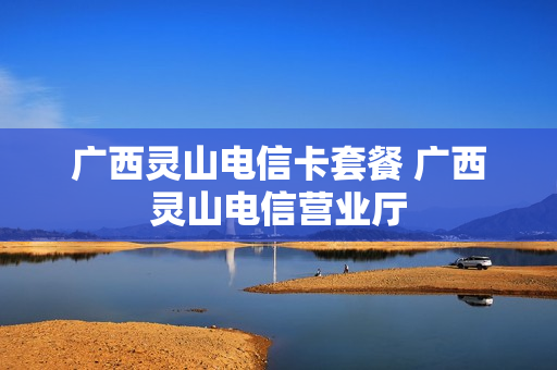 广西灵山电信卡套餐 广西灵山电信营业厅