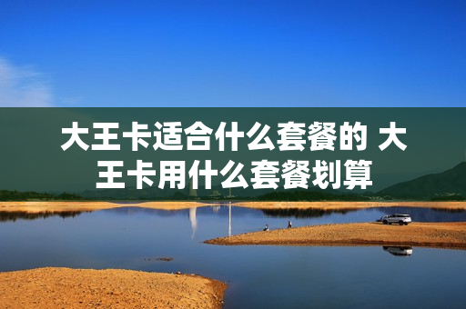 大王卡适合什么套餐的 大王卡用什么套餐划算