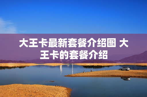 大王卡最新套餐介绍图 大王卡的套餐介绍