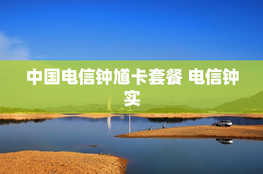 中国电信钟馗卡套餐 电信钟实