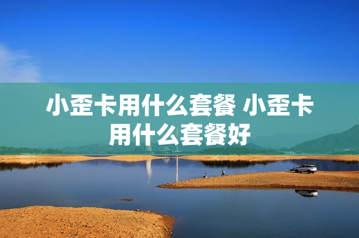 小歪卡用什么套餐 小歪卡用什么套餐好