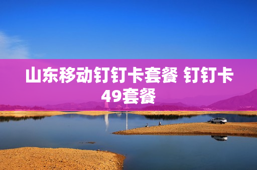 山东移动钉钉卡套餐 钉钉卡49套餐