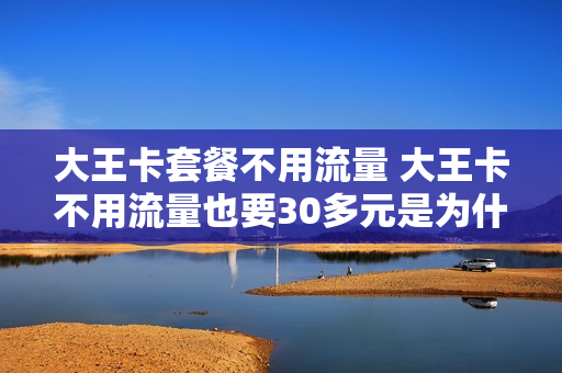 大王卡套餐不用流量 大王卡不用流量也要30多元是为什?