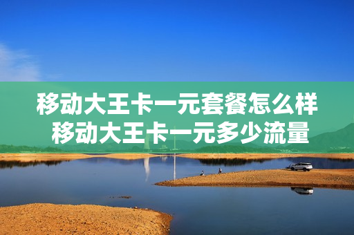 移动大王卡一元套餐怎么样 移动大王卡一元多少流量