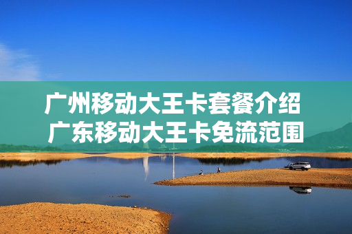 广州移动大王卡套餐介绍 广东移动大王卡免流范围