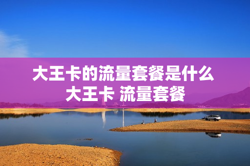 大王卡的流量套餐是什么 大王卡 流量套餐