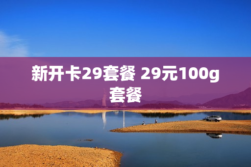 新开卡29套餐 29元100g套餐