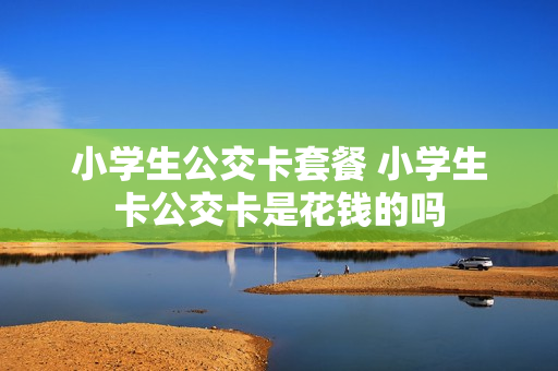小学生公交卡套餐 小学生卡公交卡是花钱的吗