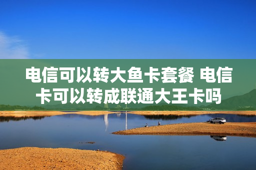 电信可以转大鱼卡套餐 电信卡可以转成联通大王卡吗