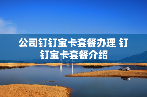 公司钉钉宝卡套餐办理 钉钉宝卡套餐介绍