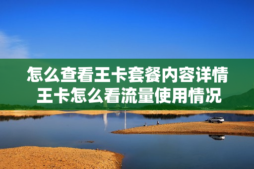 怎么查看王卡套餐内容详情 王卡怎么看流量使用情况