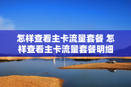 怎样查看主卡流量套餐 怎样查看主卡流量套餐明细