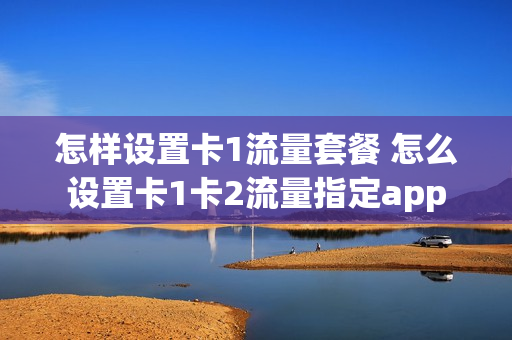 怎样设置卡1流量套餐 怎么设置卡1卡2流量指定app