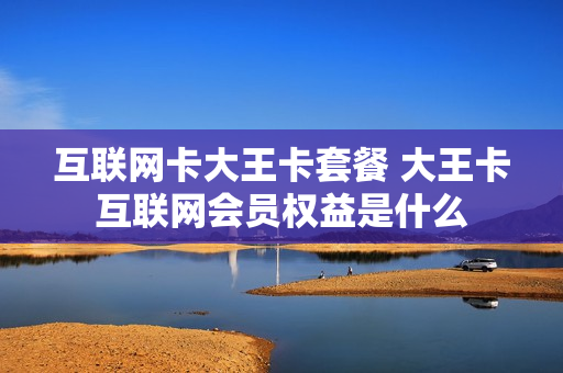 互联网卡大王卡套餐 大王卡互联网会员权益是什么